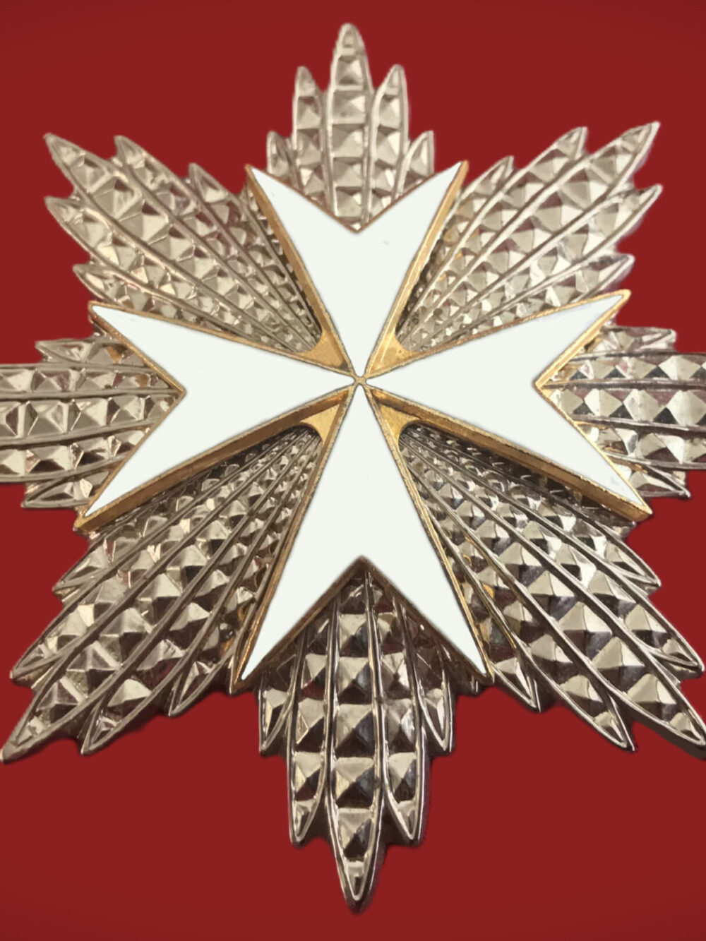 G.W. Bush Sr. Badge – Portfolio website final